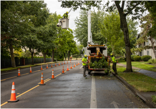 Boosting the Economy in Lane County, Oregon: Initiatives and Programs