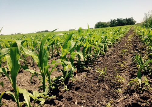 The Impact of Agriculture on the Economy of Lane County, Oregon